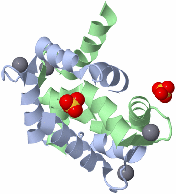 Image Biological Unit 1