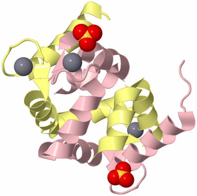 Image Biological Unit 2