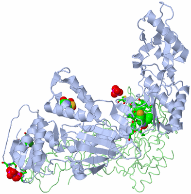 Image Asym./Biol. Unit - sites