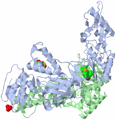 Image Asym./Biol. Unit