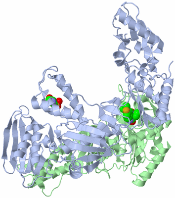 Image Asym./Biol. Unit
