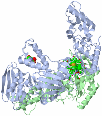 Image Asym./Biol. Unit - sites