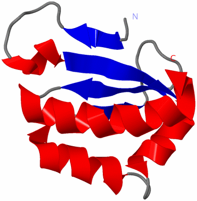 Image NMR Structure - model 1