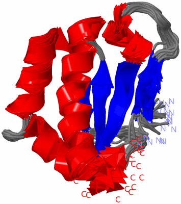 Image NMR Structure - all models