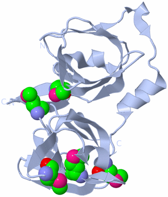 Image Biol. Unit 1 - sites