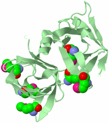 Image Biological Unit 2