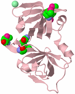 Image Biological Unit 3