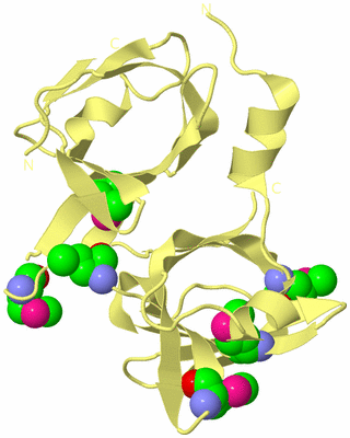 Image Biological Unit 4