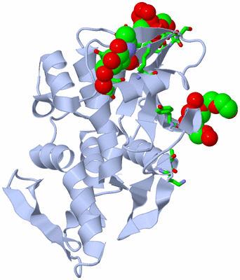 Image Biol. Unit 1 - sites