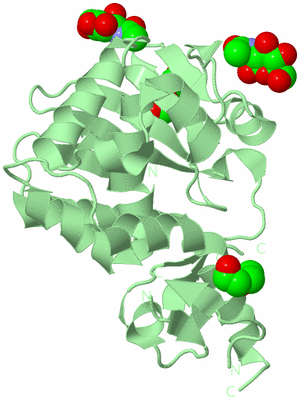Image Biological Unit 2