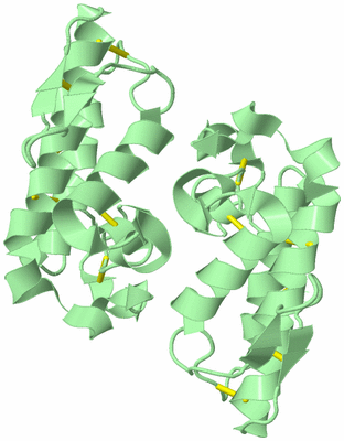 Image Biological Unit 2