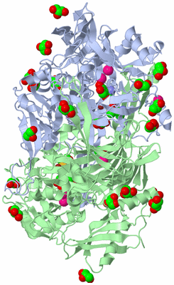 Image Biological Unit 1