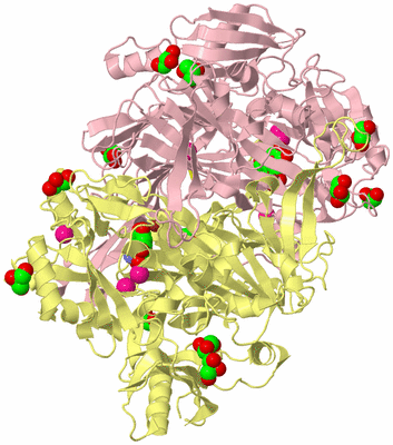 Image Biological Unit 2