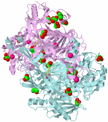 Image Biological Unit 3