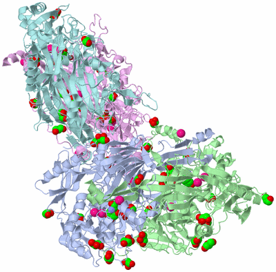 Image Biological Unit 4