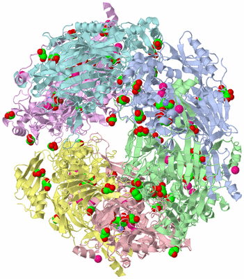 Image Biological Unit 5