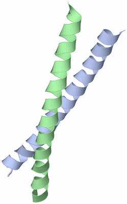 Image Asymmetric Unit