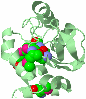 Image Biological Unit 2