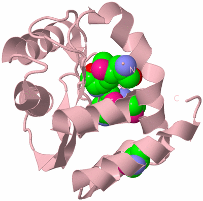 Image Biological Unit 3