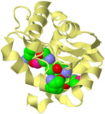 Image Biological Unit 4