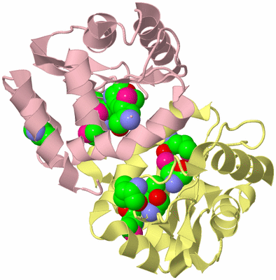 Image Biological Unit 5