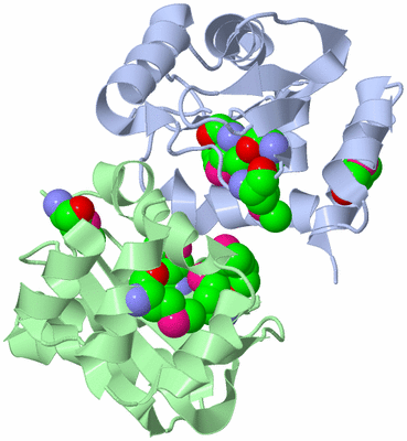 Image Biological Unit 6