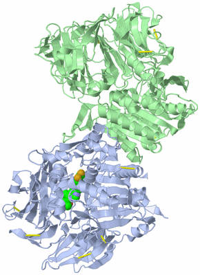 Image Asym./Biol. Unit