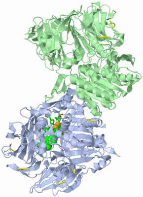 Image Asym./Biol. Unit - sites