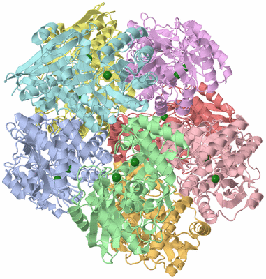 Image Asym./Biol. Unit