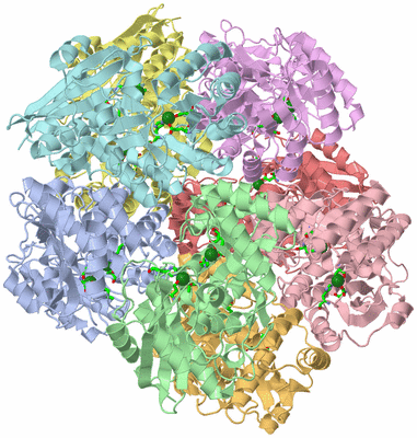 Image Asym./Biol. Unit - sites