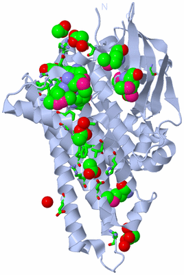 Image Biol. Unit 1 - sites