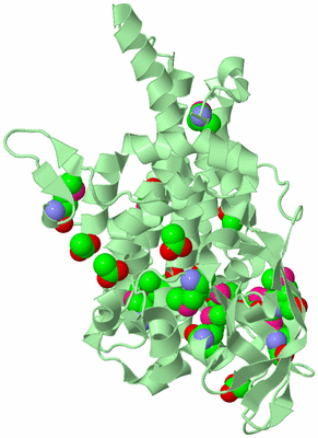 Image Biological Unit 2