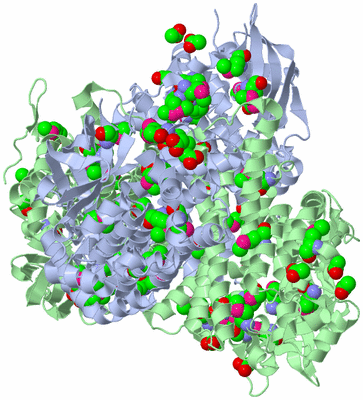 Image Biological Unit 3