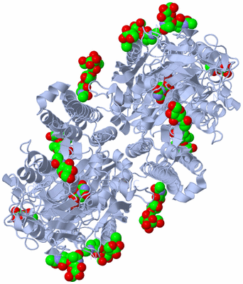 Image Biological Unit 1