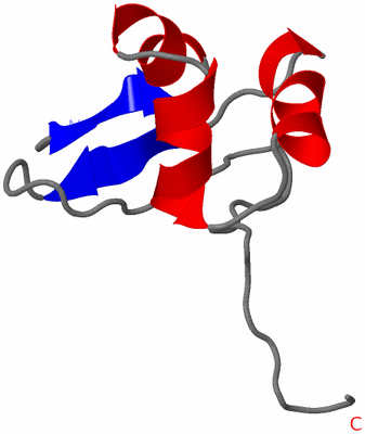 Image NMR Structure - model 1