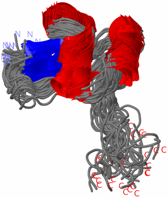 Image NMR Structure - all models