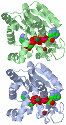 Image Asym./Biol. Unit