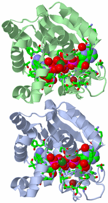 Image Asym./Biol. Unit - sites