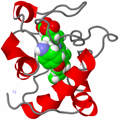 Image NMR Structure - model 1