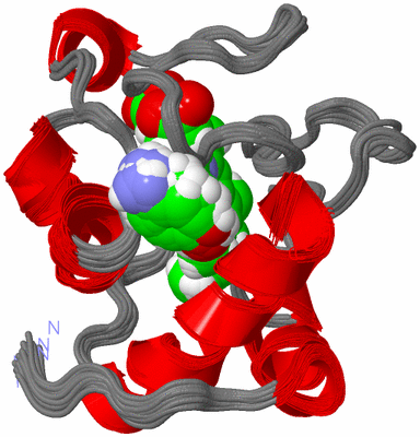 Image NMR Structure - all models