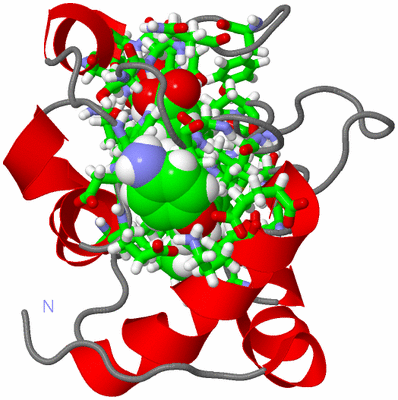 Image NMR Structure - model 1, sites