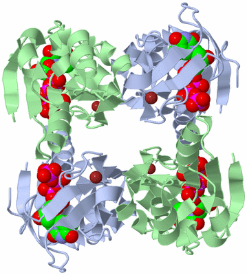 Image Biological Unit 1