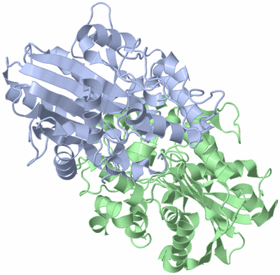 Image Biological Unit 3