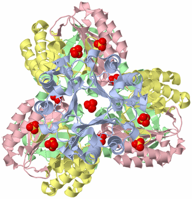 Image Biological Unit 3