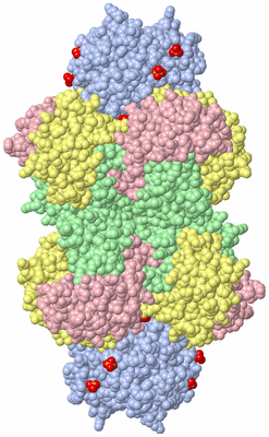 Image Biological Unit 4