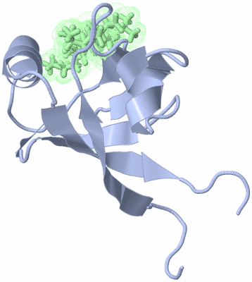 Image NMR Structure - model 1