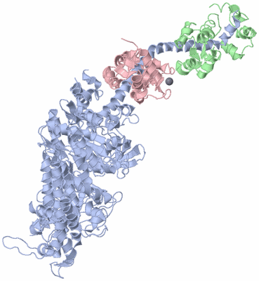 Image Asym./Biol. Unit