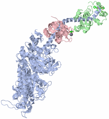 Image Asym./Biol. Unit - sites