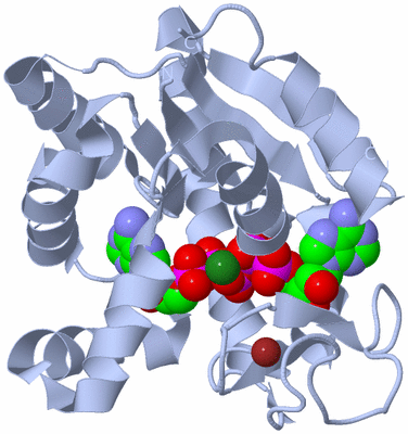 Image Biological Unit 1