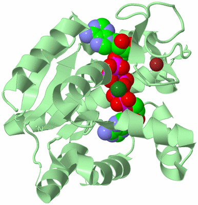 Image Biological Unit 2